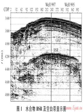 天然氣水合物勘查識別與實驗技術(shù)