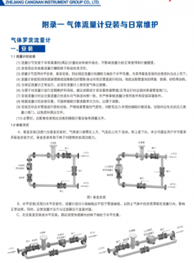 羅茨流量計及渦流量計安裝與日常維護(hù)運行與注意事項