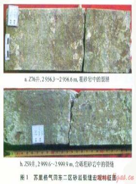 蘇里格氣田東二區(qū)致密砂巖儲(chǔ)層裂縫與含氣性的關(guān)系