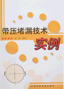 帶壓堵漏技術(shù)實例
