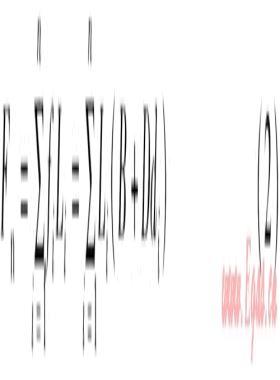 基于Q學(xué)習蟻群算法的熱網(wǎng)優(yōu)化方法